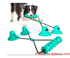 Dog Chew Toothbrush Toy