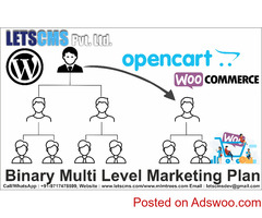 MLM Binary Plan Software | Most Popular Binary Trading strategy & commission