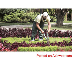Professional Gardening Services in Hobart, Tasmania