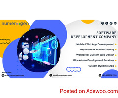 Providing custom web development services
