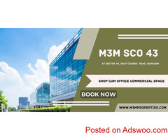 M3M SCO 43 At Gurgaon - The New Age Business Destination