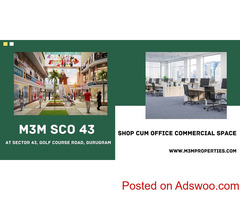M3M SCO 43 At Gurgaon - The New Age Business Destination