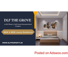 DLF The Grove At Gurugram - An Establishment Of Superlative Expression