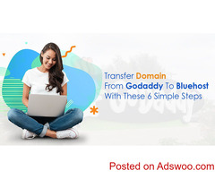 Transfer Domain From GoDaddy To Bluehost With These 6 Simple Steps