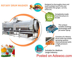 Fruits and vegetable washer
