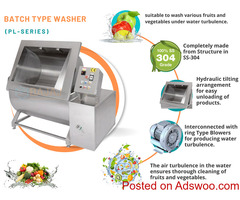 Fruits and vegetable washer