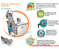 Fruits and vegetable washer