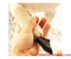 Dog Nail Grinder!!!!!!!!!!!!!!!