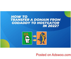 How To Transfer A Domain From GoDaddy To Hostgator In 2022?