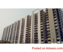 1 bhk flat Price in Gurgaon