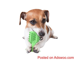 Cactus Dog Toothbrush