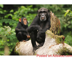 akagera national park accommodation