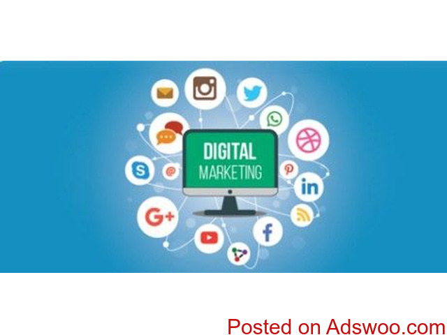 Best Website Designing - 1/2