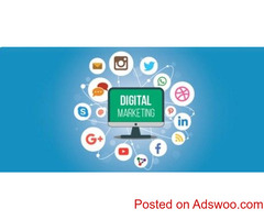 Best Website Designing