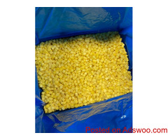 Frozen Mango Diced IQF Boxes