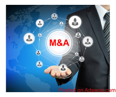 M&A Professionals Training Courses & Certifications