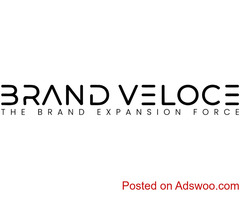 Startup Solutions | Brand Veloce