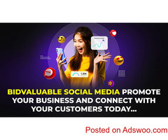 best social media platform bidvaluable
