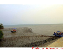 Tour Operator For Piyali Island