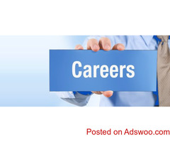 Success Your Career with Krazy Mantra
