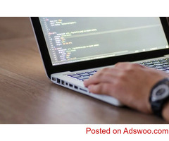 Custom Application Development