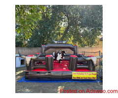 Mechanical Bull Rentals & More