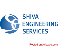 Top project management consultant in India