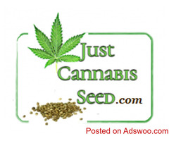 Completely Free Cannabis PDF Downloads