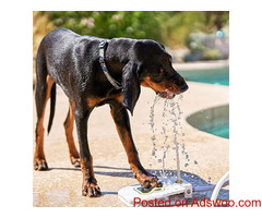 Automatic Outdoor Dog Water Fountain