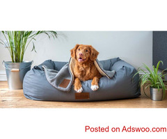 Veterinarian Bloomington CA
