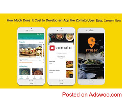 How Much Does it Cost to Build a Food Ordering App like Careem-Fusion Informatics