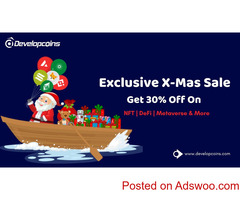 Avail 30% Off On All Crypto Projects This Christmas With Us!