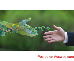 organic cleaning company Dubai