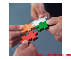 Best Business Establishments Advisory in Ahmedabad