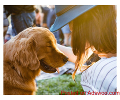 Critical Care - Veterinarian Westminster, MD