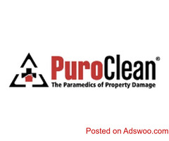 Puro Clean