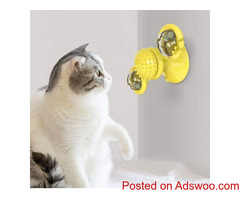 Buy Cat Toy for your Cat Friend