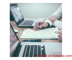 Professional B2B Sales Consultant
