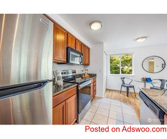 1 Bedroom 1 Bathroom