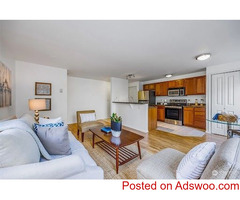 1 Bedroom 1 Bathroom