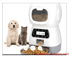 Pet accessories online, 10% Discount
