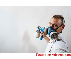 Platinum Pro Painters - Cabinet Painting