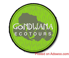 Fairbanks aurora viewing tours