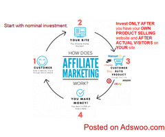 Are YOU Looking For Financial Freedom?