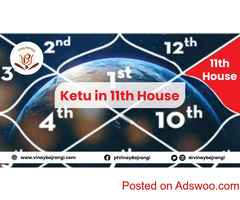 House of Profit in Kundli - Ketu in Eleventh House