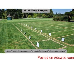 M3M Plots Panipat - Your Ultimate Guide to Investing