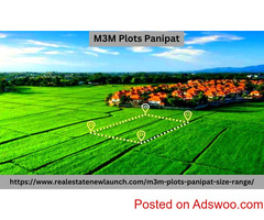 M3M Plots Panipat - Your Ultimate Guide to Investing