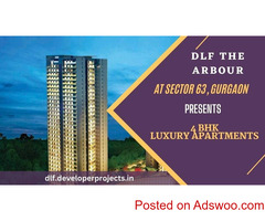 DLF The Arbour Sector 63 Gurgaon | A World of Space Between Towers to Walk, Play & Relax