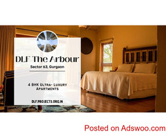DLF The Arbour Sector 63 Gurgaon - Awnings And Signage Performance