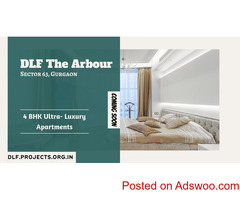 DLF The Arbour Sector 63 Gurgaon - Awnings And Signage Performance